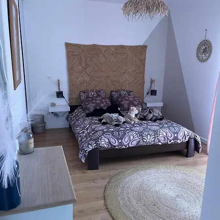 Maison Avec Et Piscine 2 Ajaccio (Corsica)